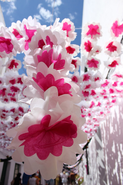 Flower's festival in Alentejo Portugal