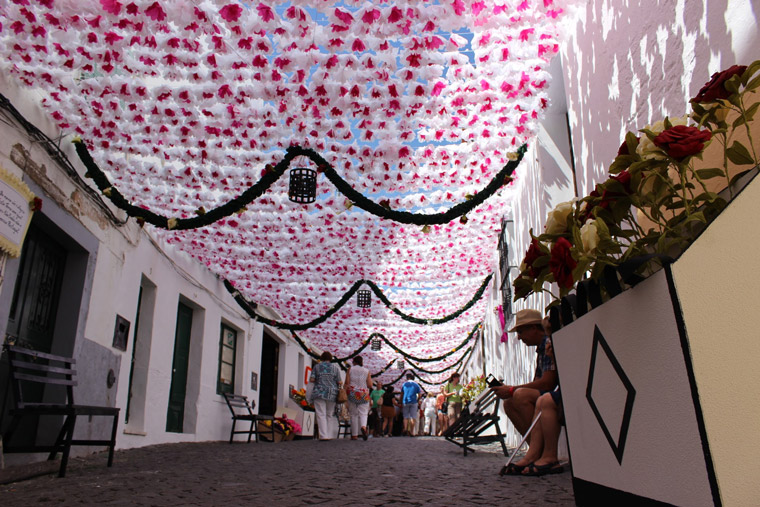 Flower's festival in Alentejo Portugal