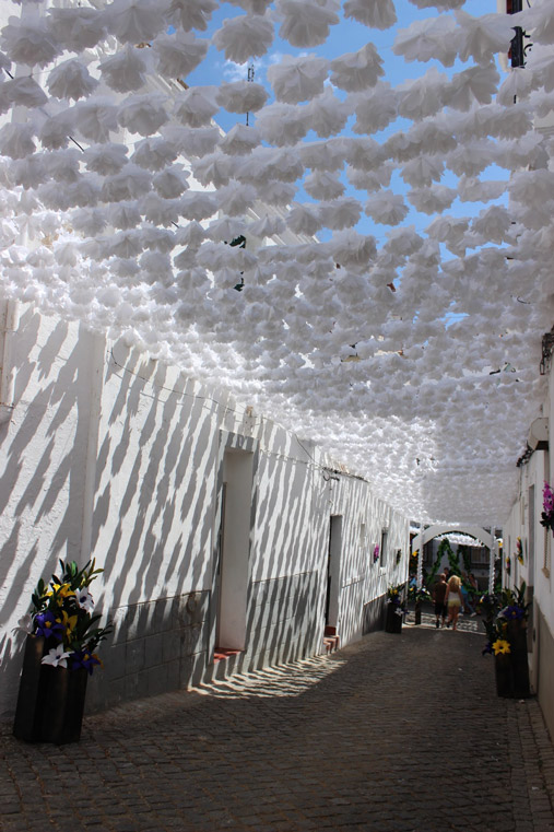 Flower's festival in Alentejo Portugal