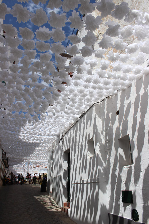 Flower's festival in Alentejo Portugal