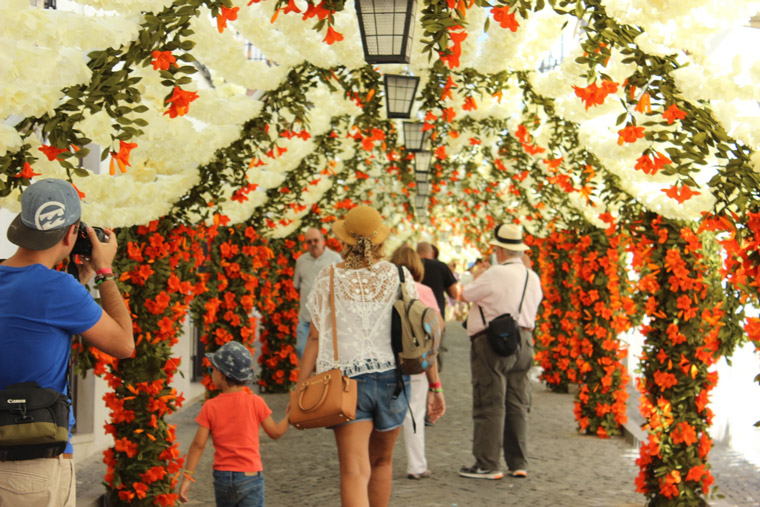 A street in bloom.