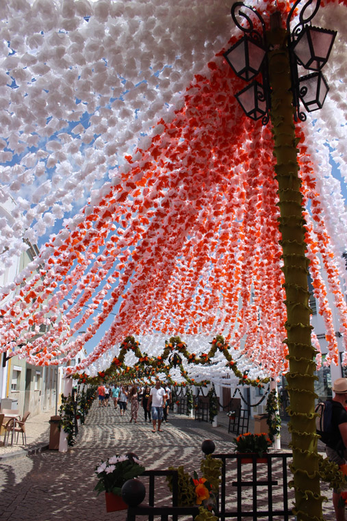 Flower's festival in Alentejo Portugal