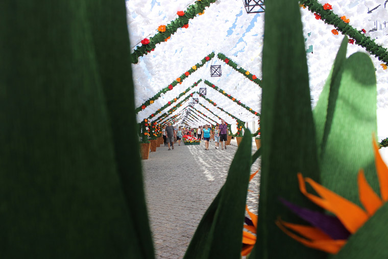 Flower's festival in Alentejo Portugal