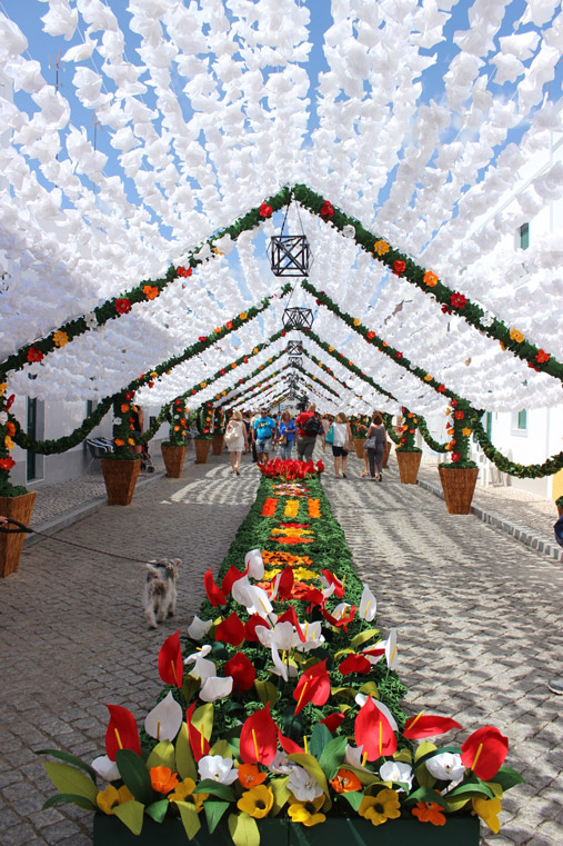 Flower's festival in Alentejo Portugal