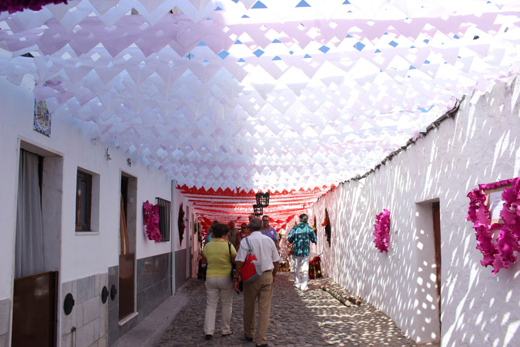 Flower's festival in Alentejo Portugal