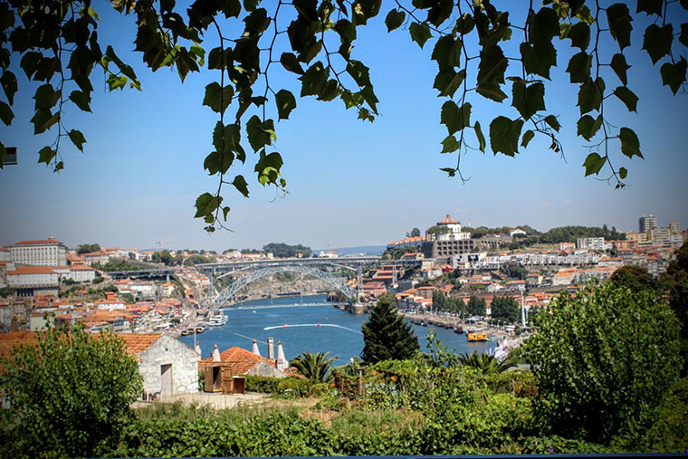 Looking down on the Douro.