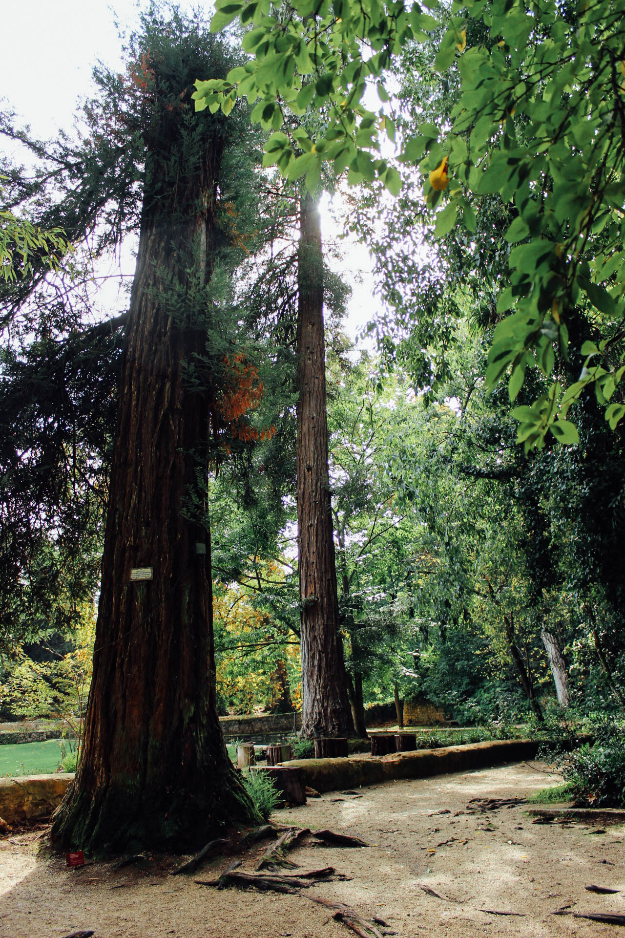 Jardim Quinta das Lágrimas (Estate of Tears Garden) Coimbra