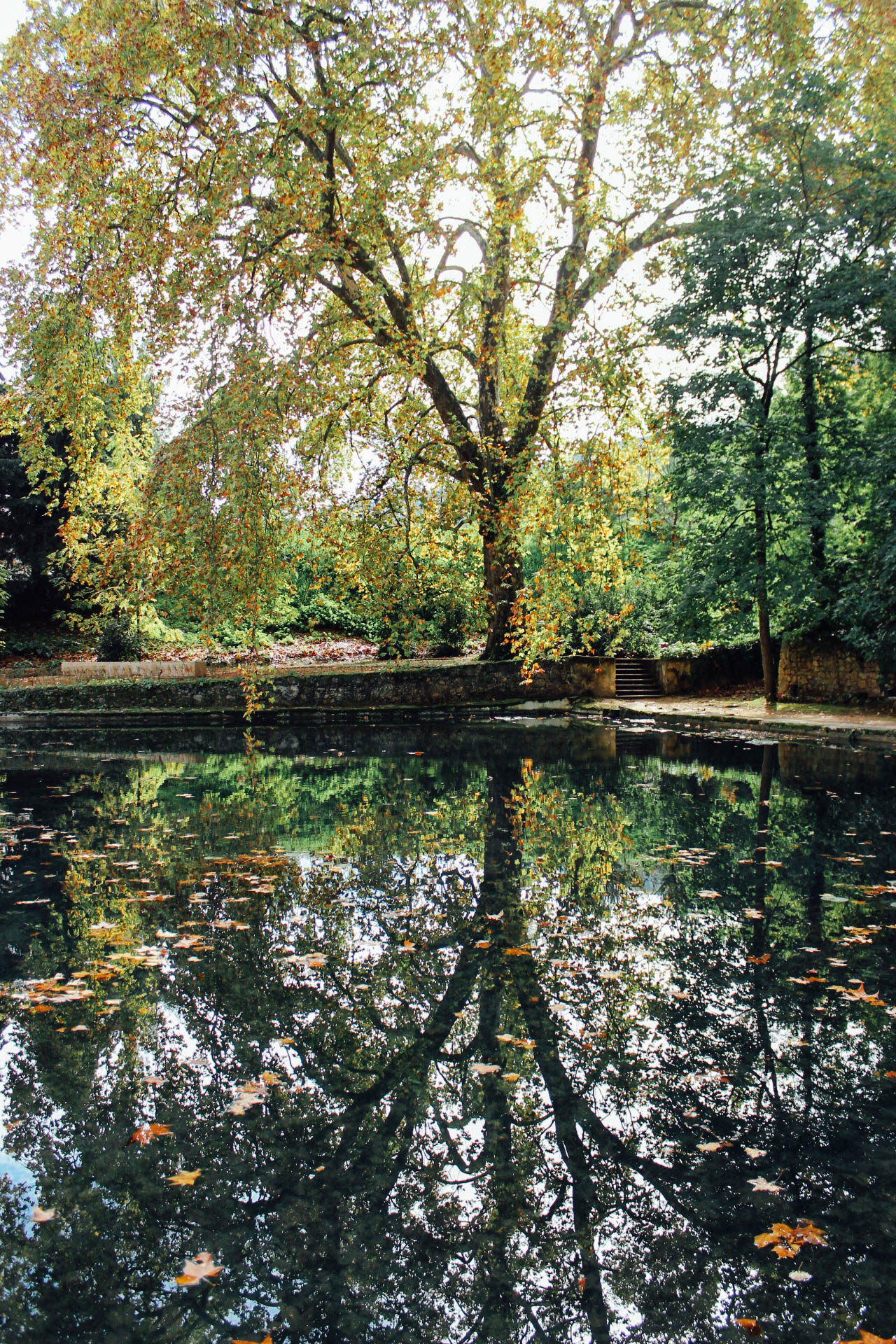 Jardim Quinta das Lágrimas (Estate of Tears Garden) Coimbra