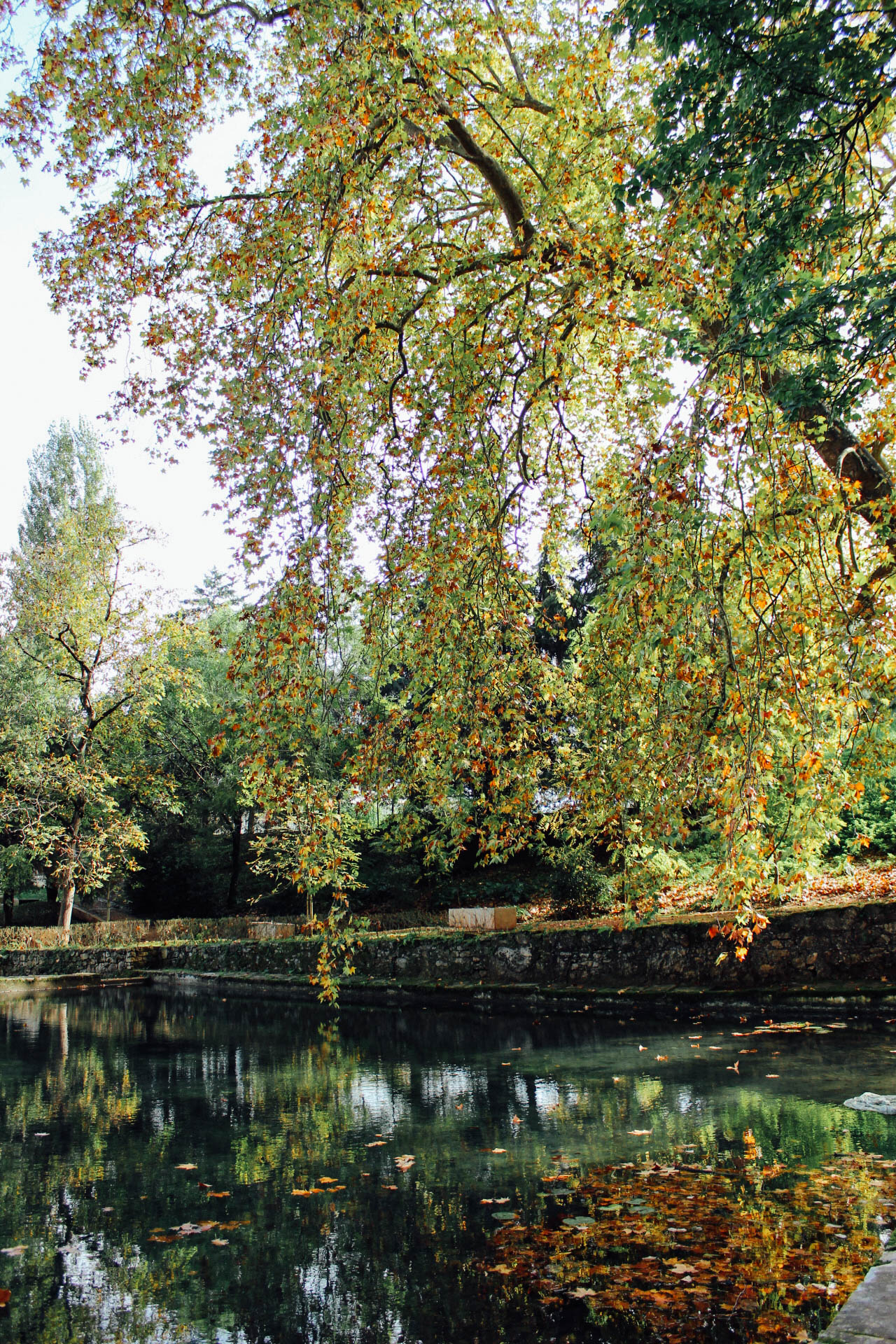 Jardim Quinta das Lágrimas (Estate of Tears Garden) Coimbra