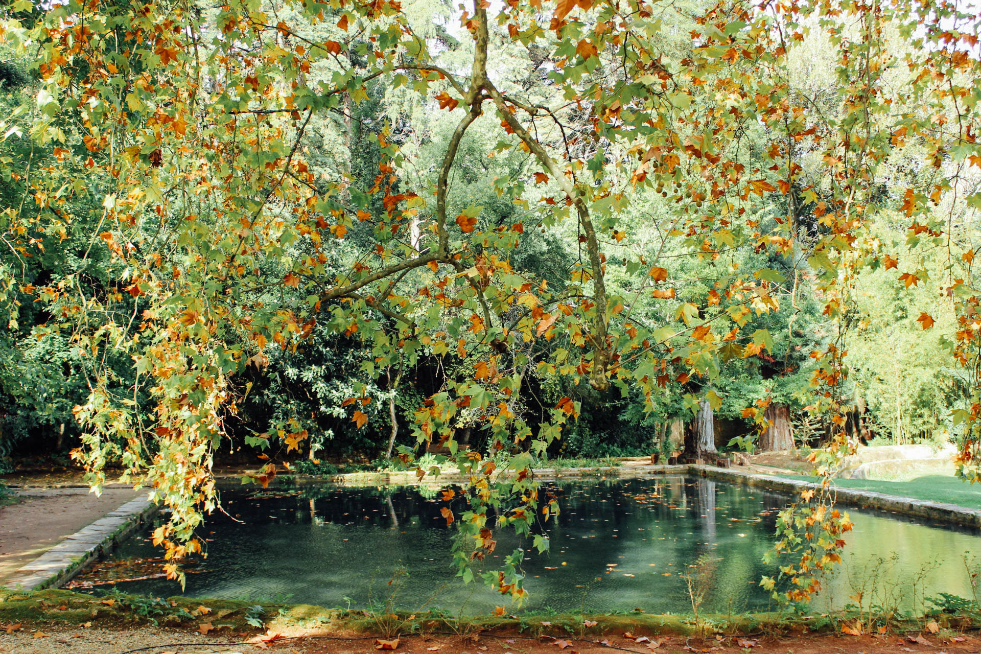 Jardim Quinta das Lágrimas (Estate of Tears Garden) Coimbra