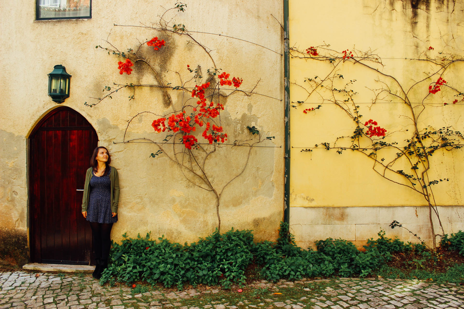 Jardim Quinta das Lágrimas (Estate of Tears Garden) Coimbra