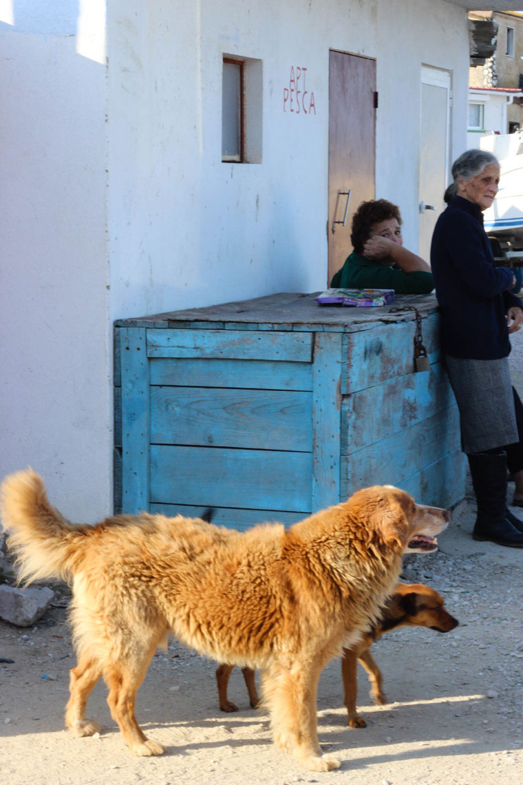 Sheer bliss in a Portuguese fishermen's village: Cova do Vapor