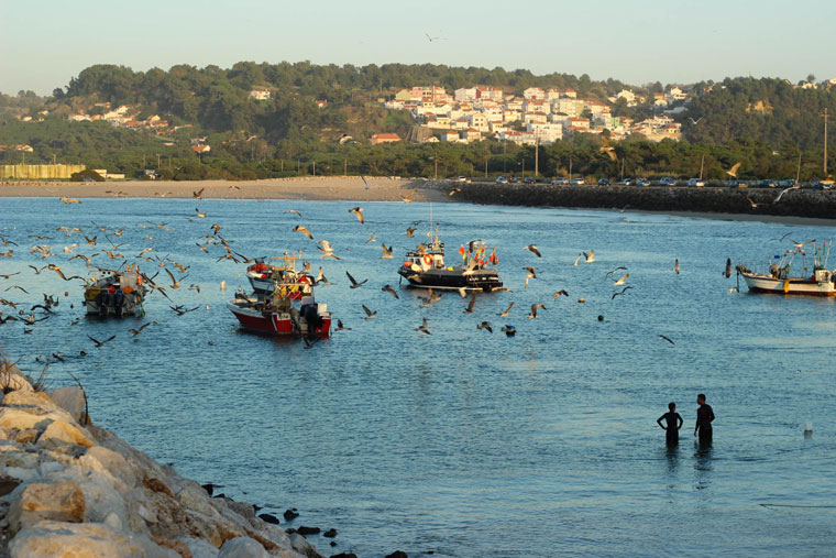 A working beach near Lisbon.
