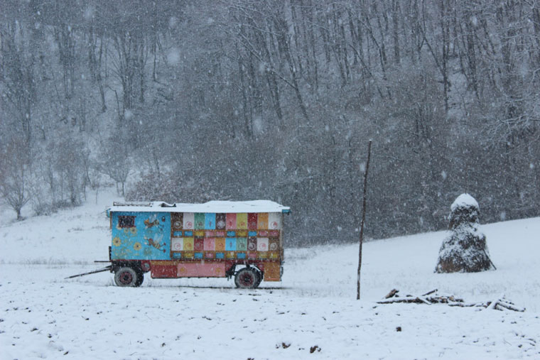 Snow and Romania - a perfect combination