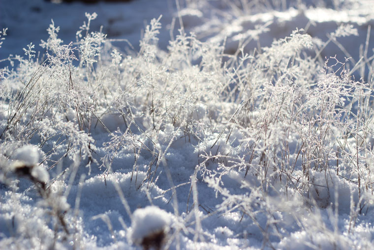 Snow and Romania - a perfect combination