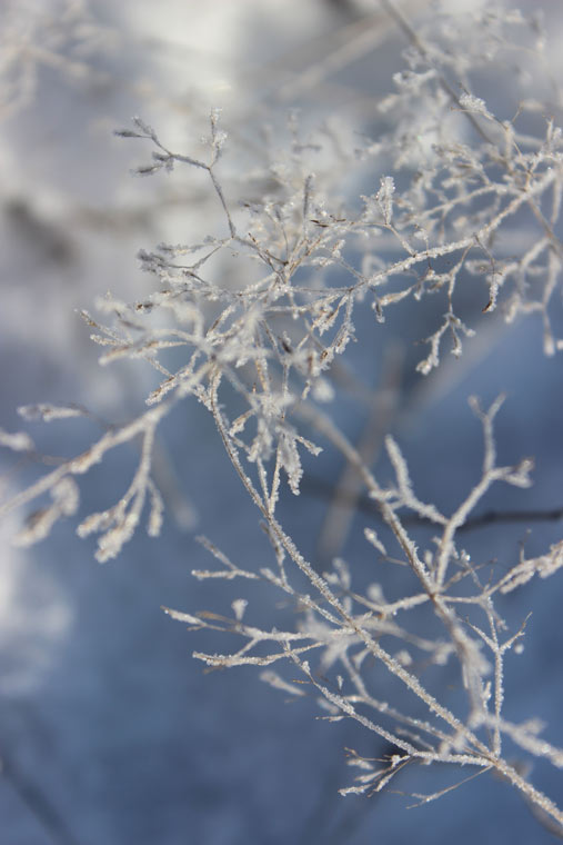 Snow and Romania - a perfect combination