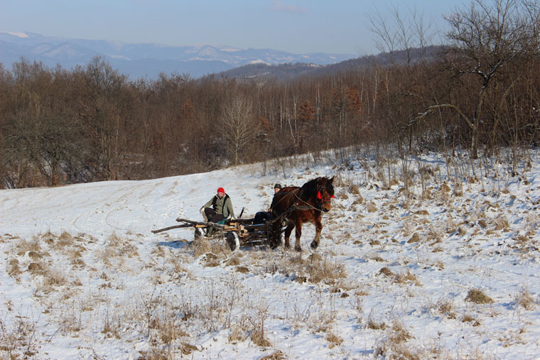 Snow and Romania - a perfect combination