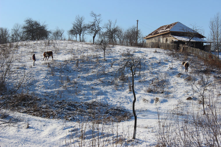 Snow and Romania - a perfect combination