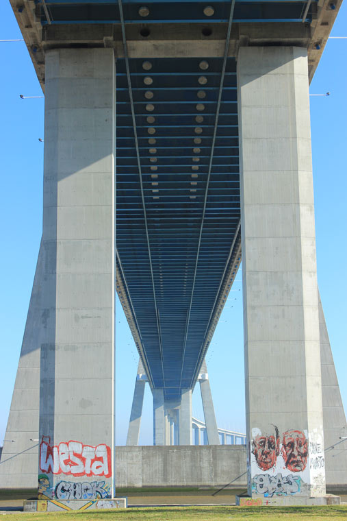 Under the Vasco da Gama Bridge - Where Two Go To