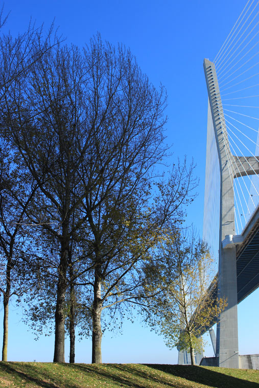 Under the Vasco da Gama Bridge - Where Two Go To