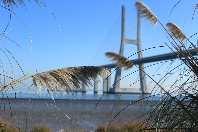 Under the Vasco da Gama Bridge - Where Two Go To