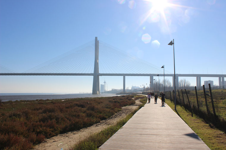 Under the Vasco da Gama Bridge - Where Two Go To