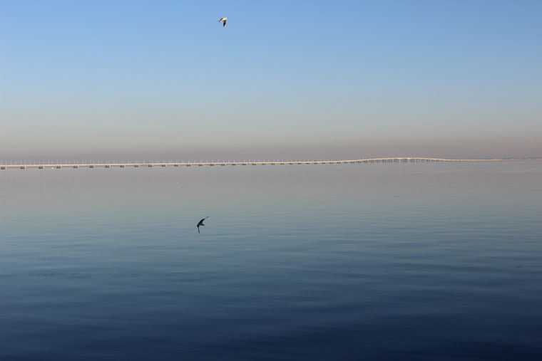 Under the Vasco da Gama Bridge - Where Two Go To