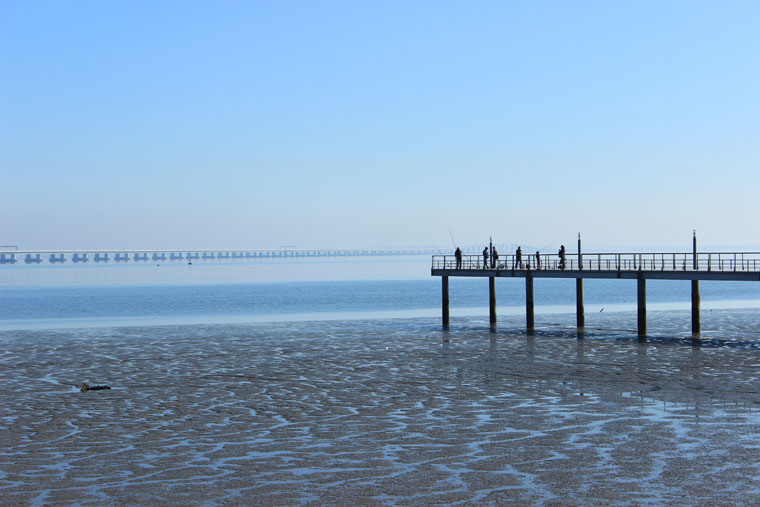 Under the Vasco da Gama Bridge - Where Two Go To