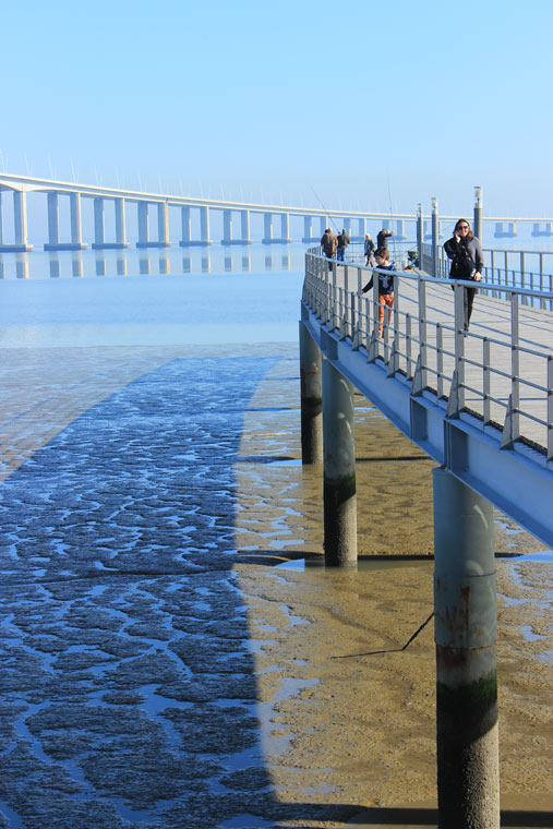 Under the Vasco da Gama Bridge - Where Two Go To