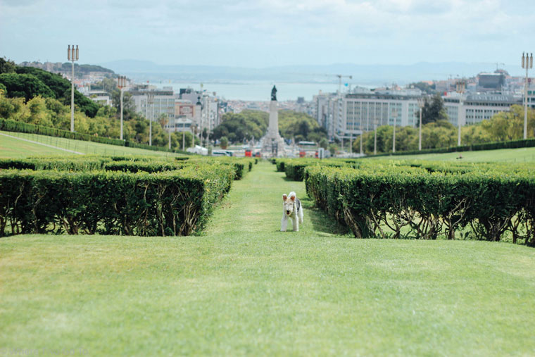 Parque-Eduardo-VII-Viewpoint-Lisbon