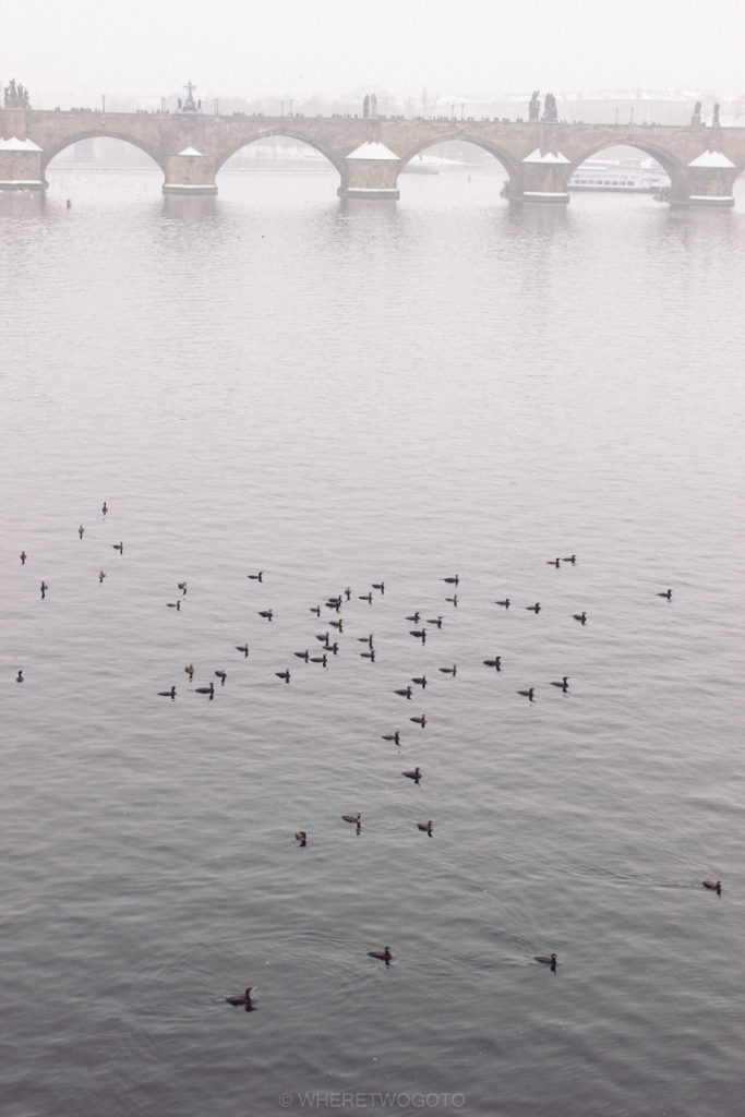 The Vltava, wrapped in fog.