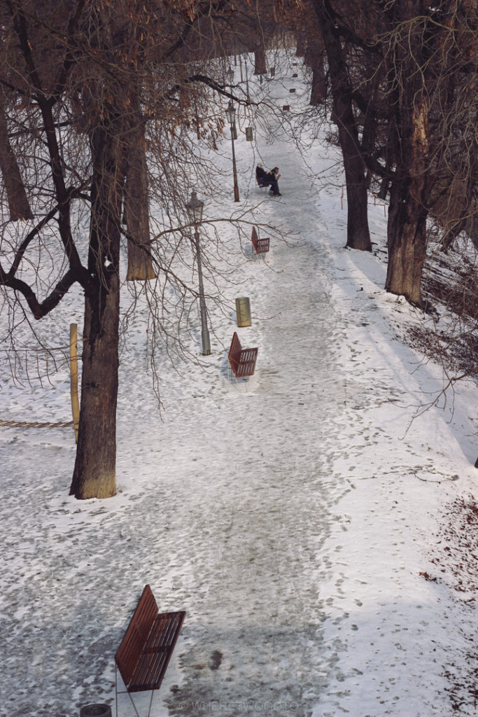 A park in the snow.