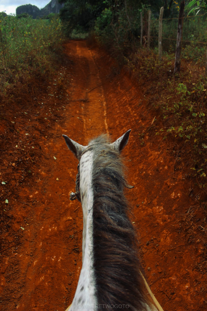 Seen from the saddle in Vinales.