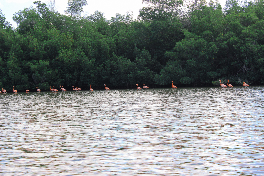 guanaroca lagoon cienfuegos