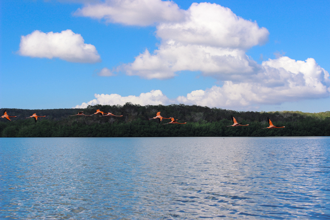 guanaroca lagoon cienfuegos