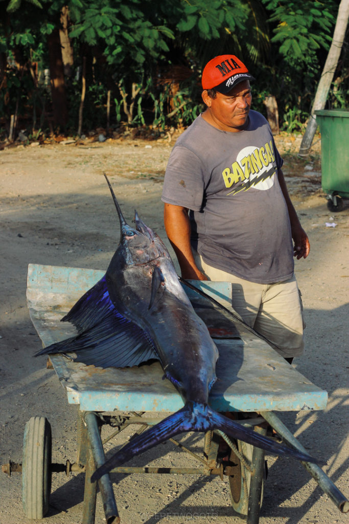 The morning's catch in Trinidad.