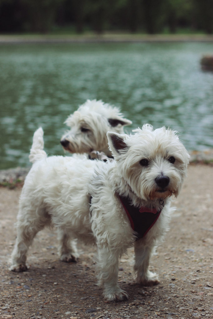 Locals at the Parc de Sceaux.