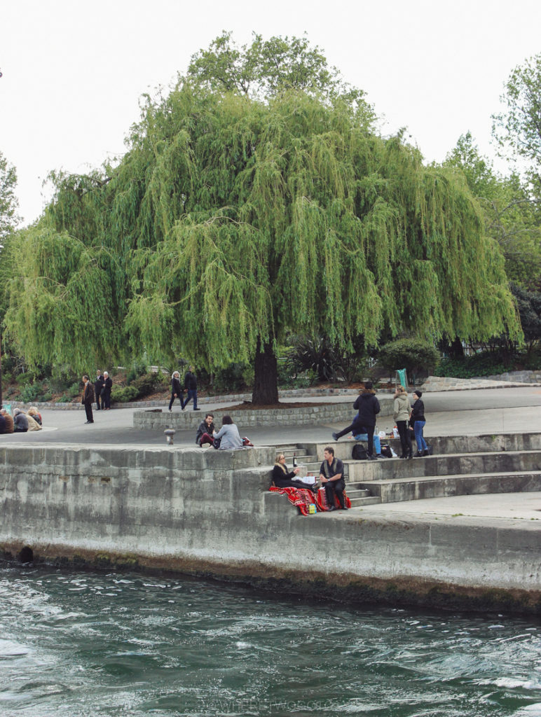 An afternoon on the Seine quays.