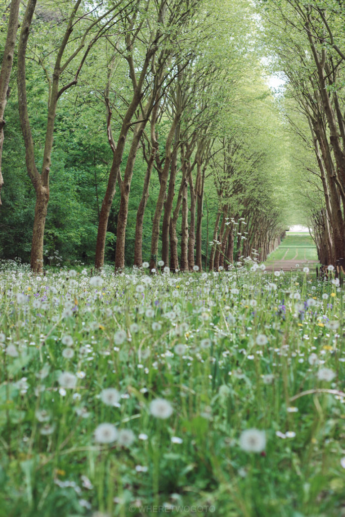 Spring in the Parc de Sceaux.