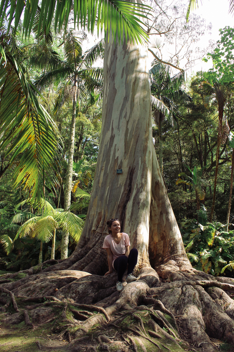 Visit Terra Nostra Park