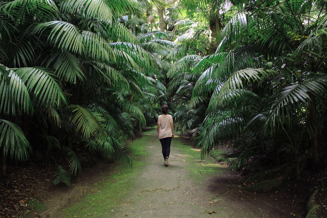 Visit Terra Nostra Park