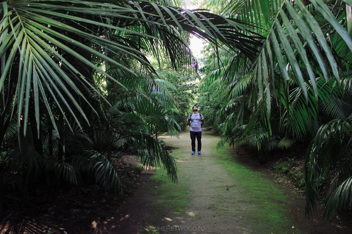 Visit Terra Nostra Park