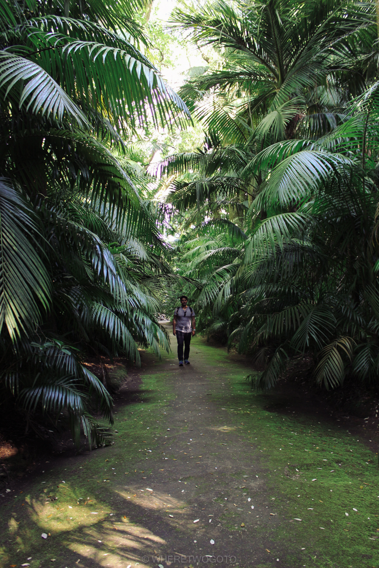 Visit Terra Nostra Park