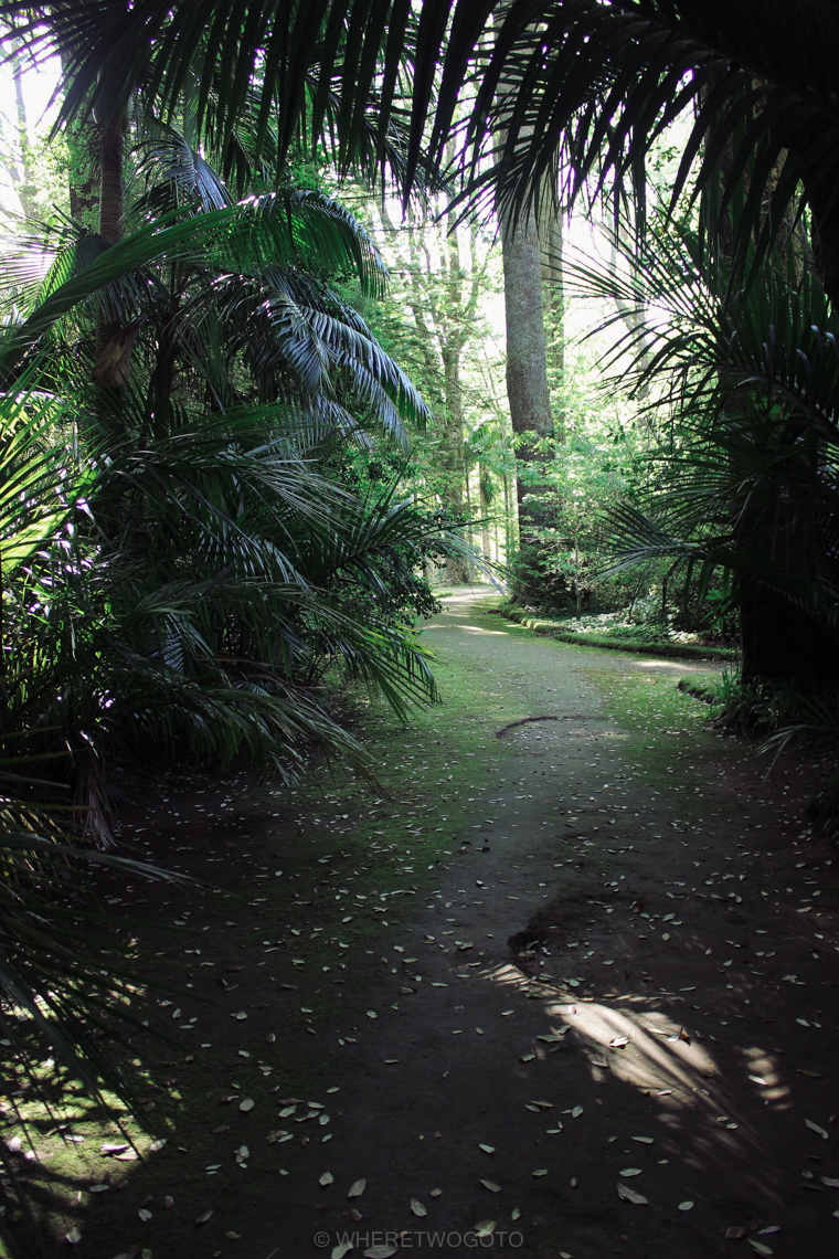 Visit Terra Nostra Park