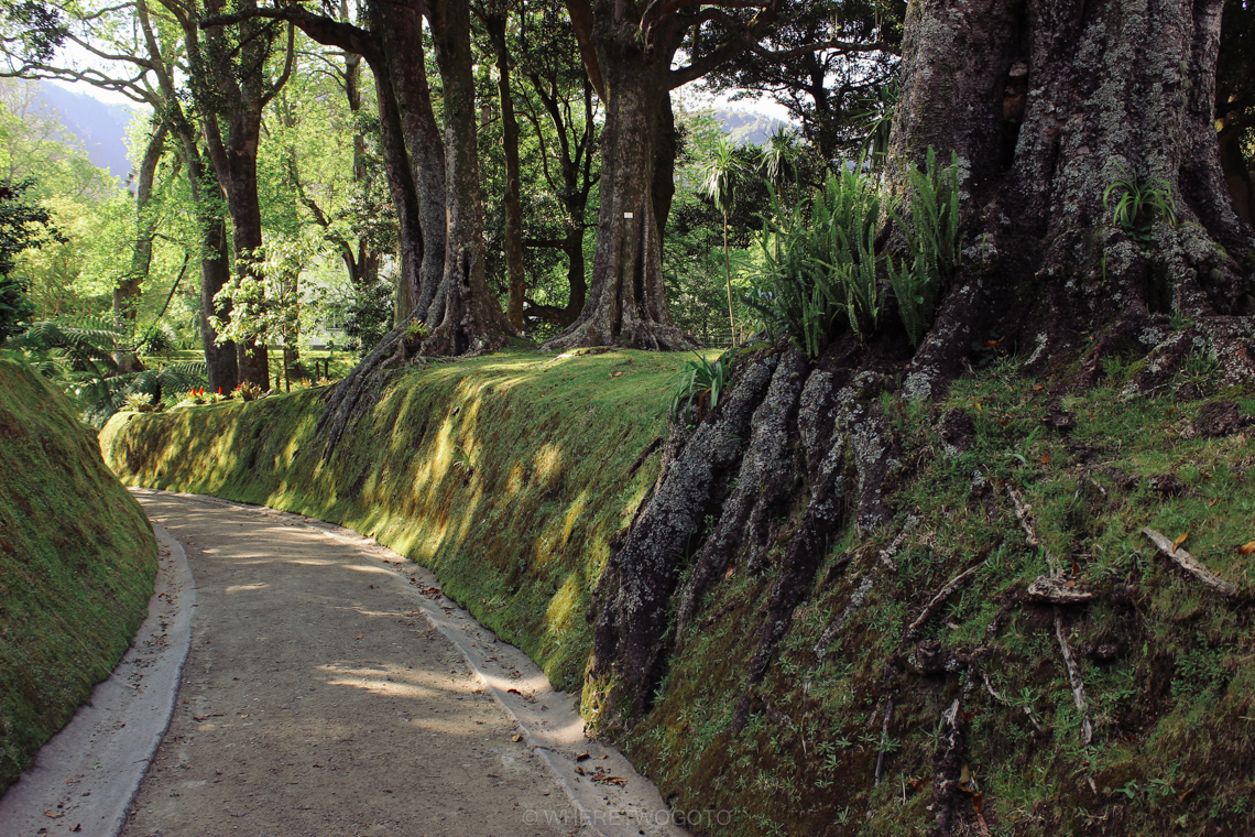 Visit Terra Nostra Park