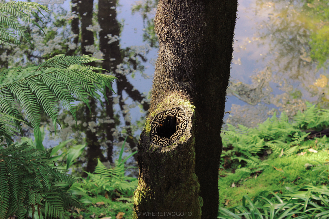 Visit Terra Nostra Park