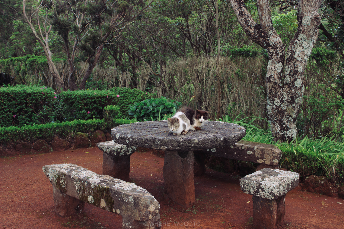 Miradouro da Ponta do Sossego short guide to São Miguel Island