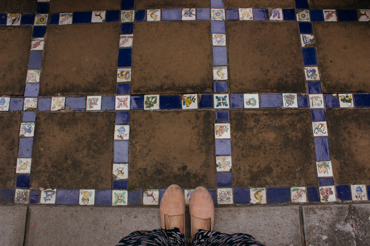 The Tropical Botanical Garden of Lisbon: a hidden green pearl