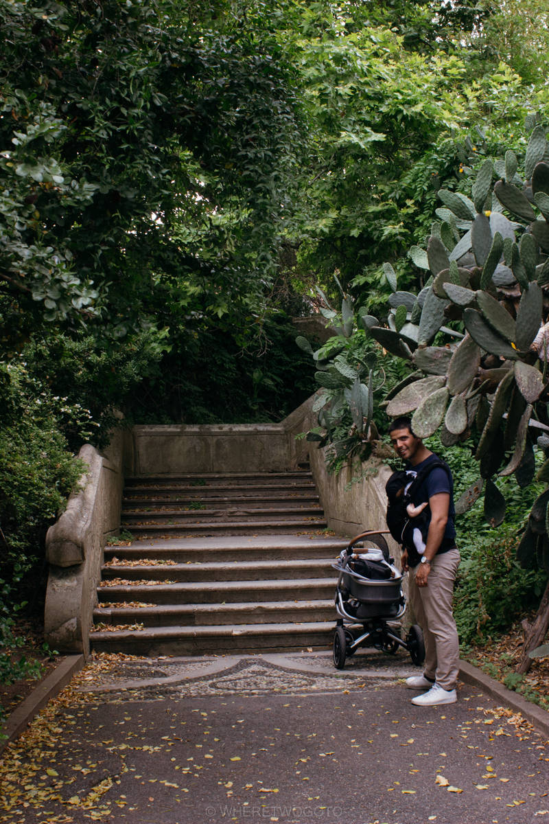 The Tropical Botanical Garden of Lisbon: a hidden green pearl