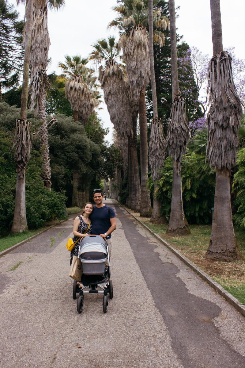The Tropical Botanical Garden of Lisbon: a hidden green pearl